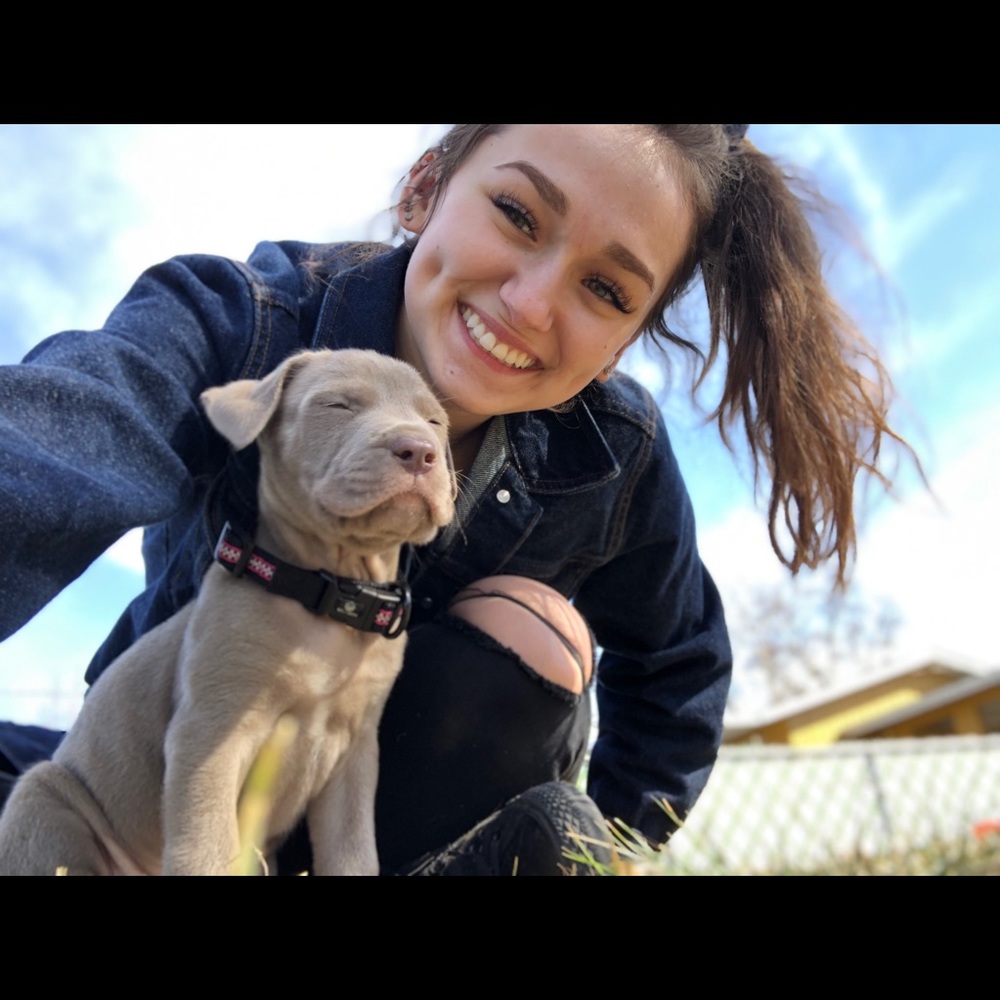 Meet your Posher, Madison